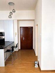 The Oxley (D9), Apartment #609642611